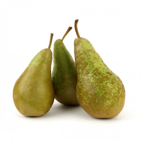 Pear Conference (1kg ）