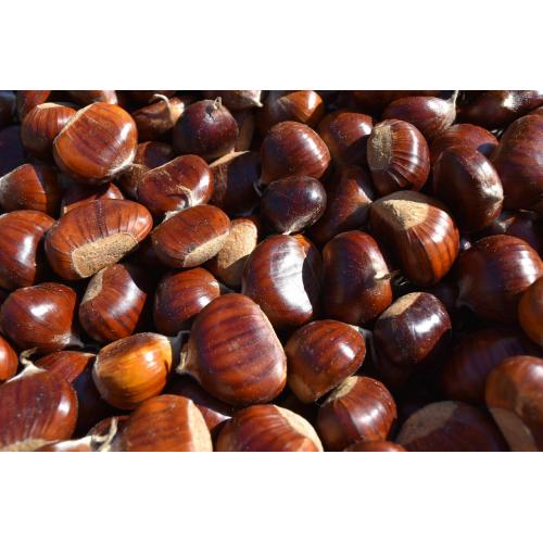 Chestnuts (500g)
