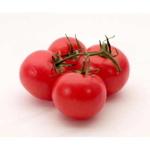 Tomatoes Vine (1kg)
