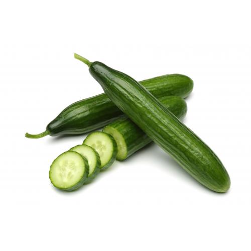 Cucumber  Large  Single