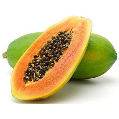 Papaya Large (Single)